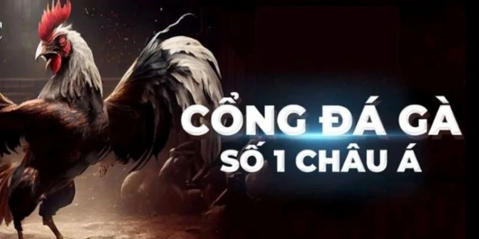 Đá gà online SV388 siêu đỉnh với đa dạng tính năng